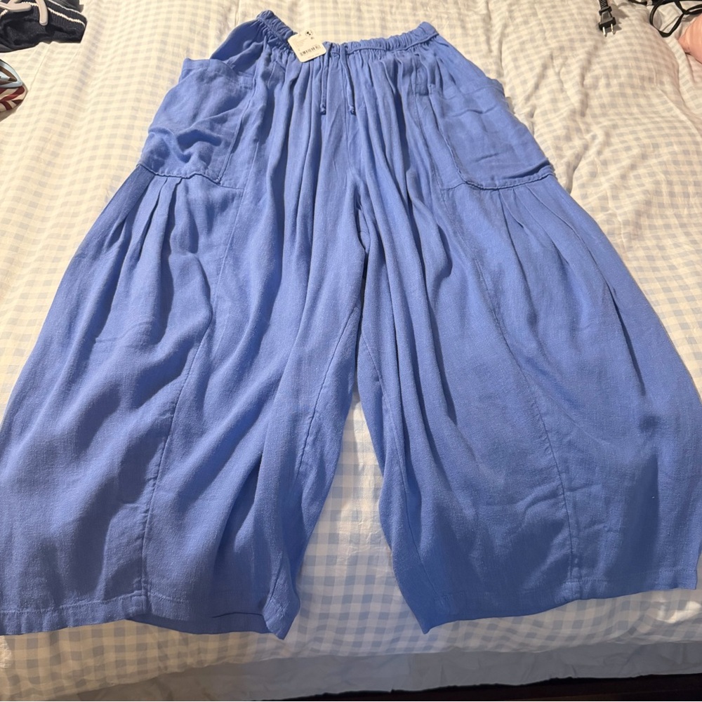 Free People Wide Leg Pants in Blue